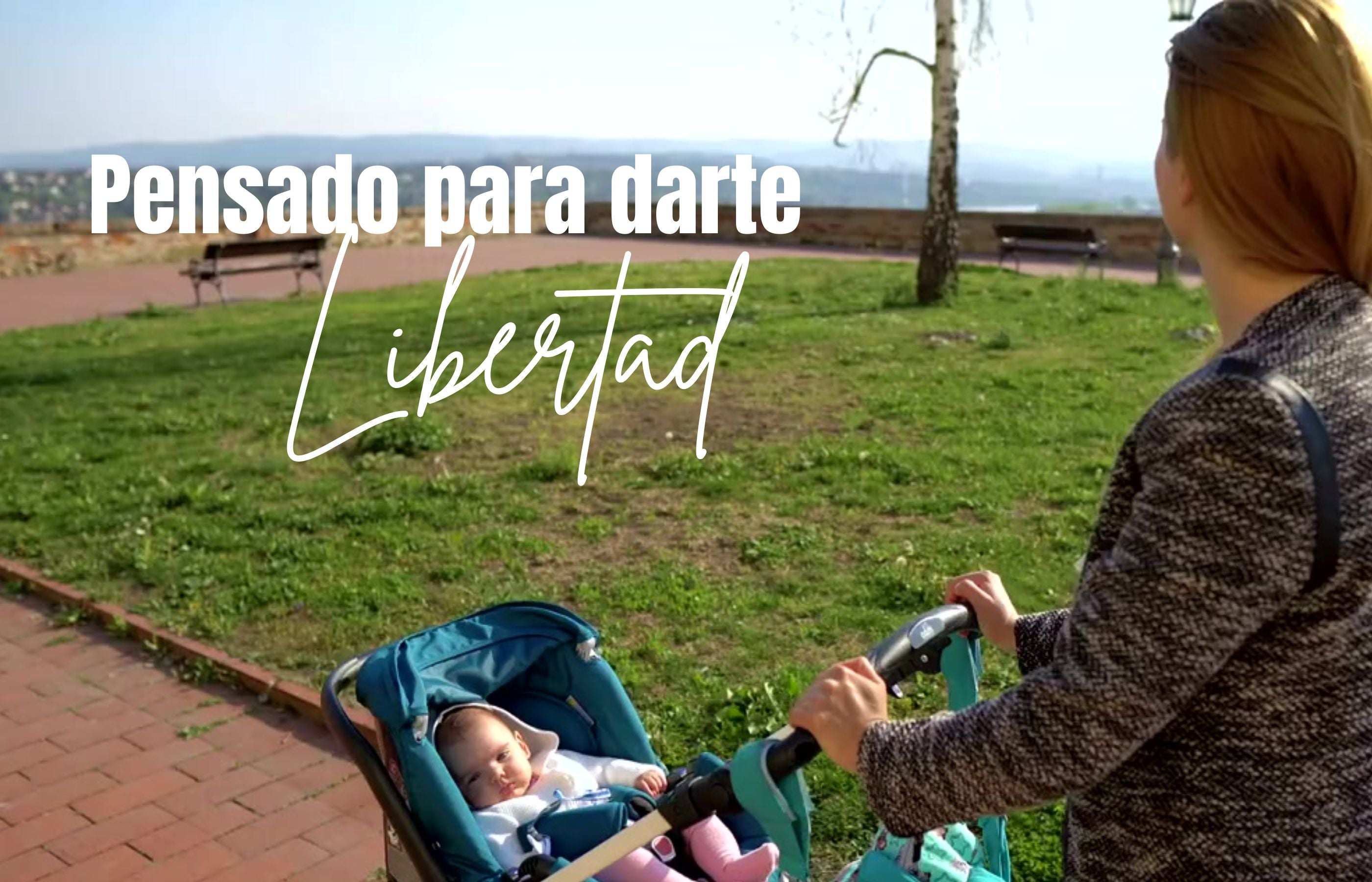 Cargar video: 